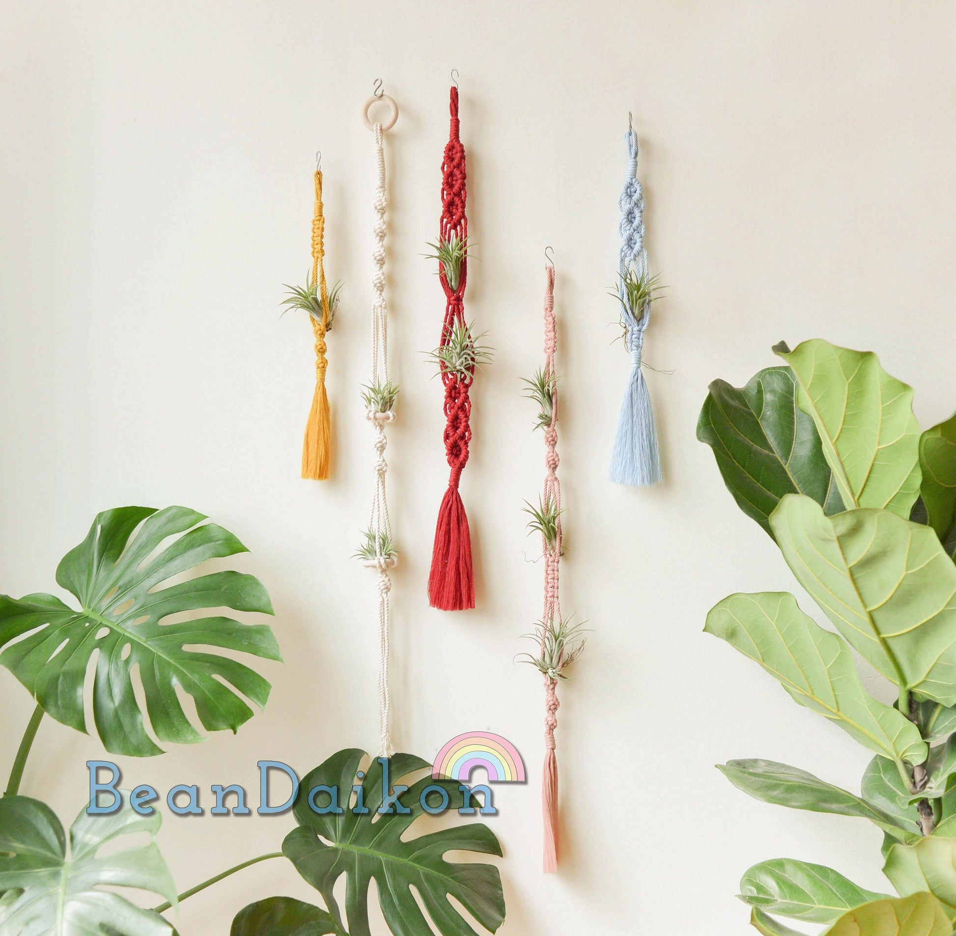 Air Plant Holder, Macrame Air Plant Hanger, Unique Air Plant Display, Macrame Wall Hanging, Boho Decor, Air Plant Terrarium,Gift For Her H15