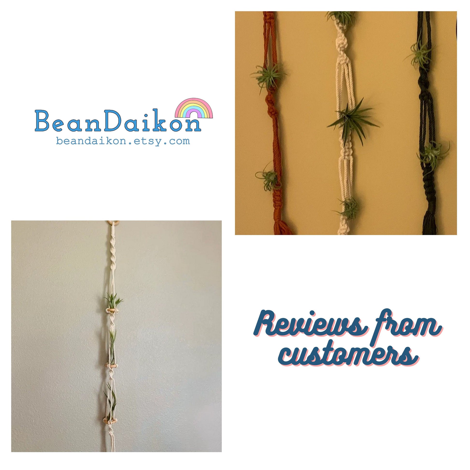 Air Plant Holder, Macrame Air Plant Hanger, Unique Air Plant Display, Macrame Wall Hanging, Boho Decor, Air Plant Terrarium,Gift For Her H15