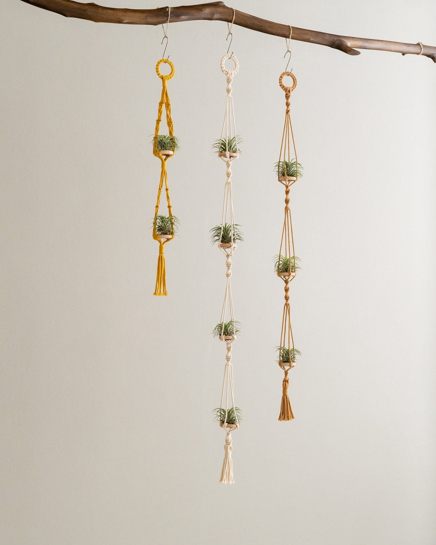 Air Plant Hanging Holder - Handcrafted Cute Air Plants Hanger - Tillandsia Holder - Air Plant Display - Gift Plant Lover I79