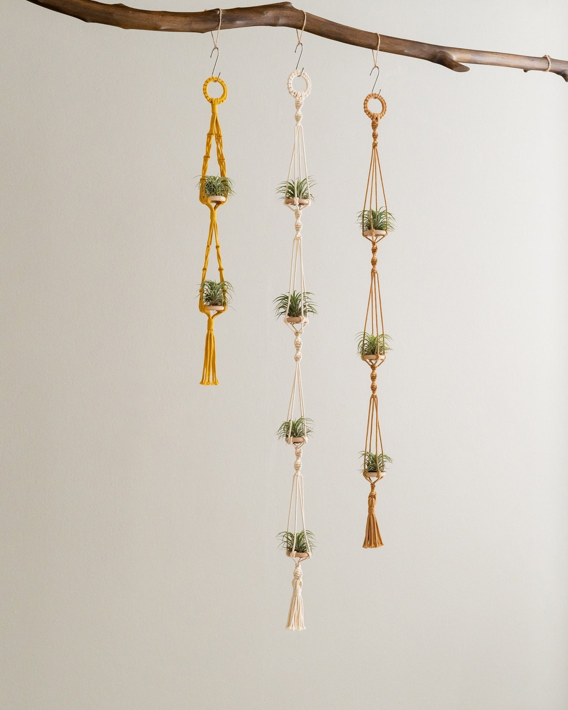 Air Plant Hanging Holder - Handcrafted Cute Air Plants Hanger - Tillandsia Holder - Air Plant Display - Gift Plant Lover I79