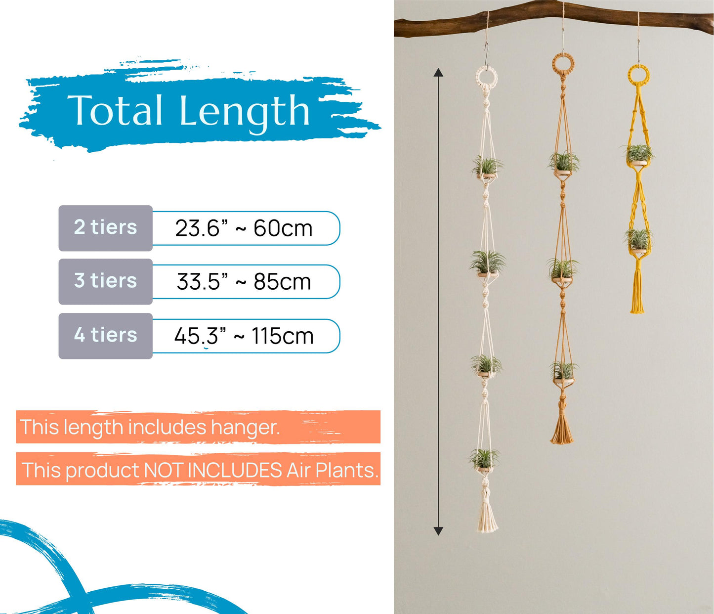 Air Plant Hanging Holder - Handcrafted Cute Air Plants Hanger - Tillandsia Holder - Air Plant Display - Gift Plant Lover I79