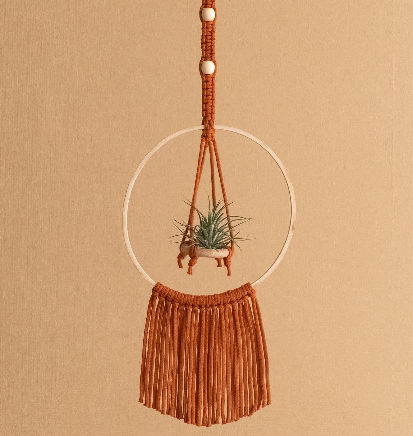 Air Plant Holder, Macrame Air Plant Hanger, Unique Air Plant Display, Macrame Wall Hanging, Boho Decor, Air Plant Terrarium,Gift For Her I88