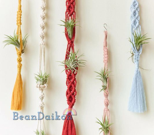 Air Plant Holder, Macrame Air Plant Hanger, Unique Air Plant Display, Macrame Wall Hanging, Boho Decor, Air Plant Terrarium,Gift For Her H15