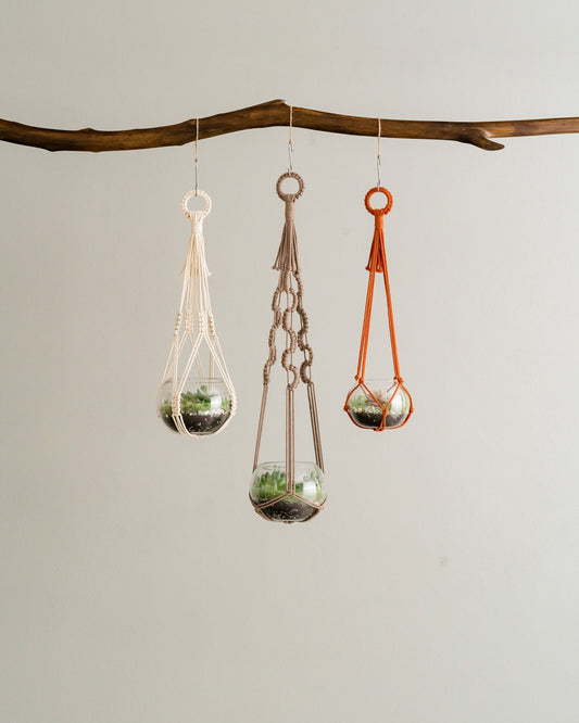 Macrame Plant Hanger, Hanging Terrarium, Hanging Plant Hanger, Indoor Garden Decor, Terrarium Holder, Pot Holder, Ceiling Planter I70