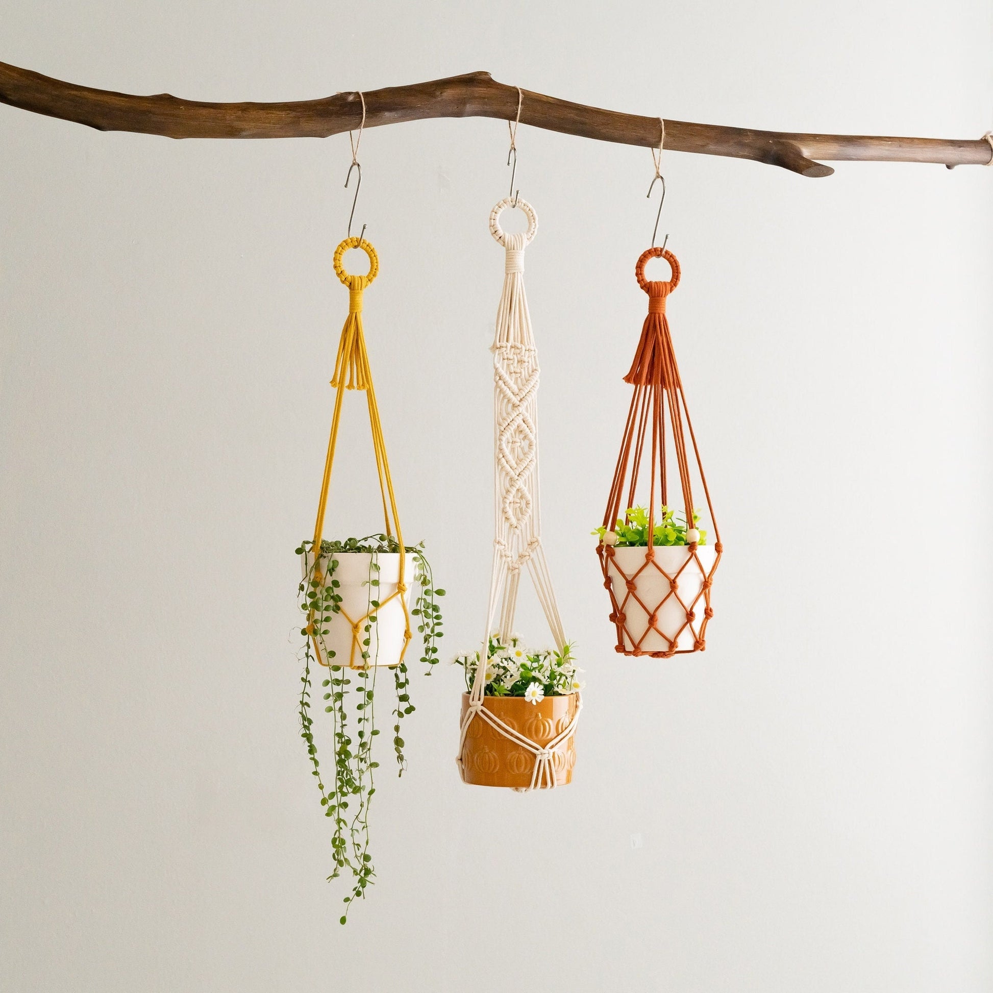Boho Plant Hanger, Garden Decor, Macrame Pot Hanger, Tassel Free Macrame, Plant Wall Holder, Modern Planter, New Home Gift I70