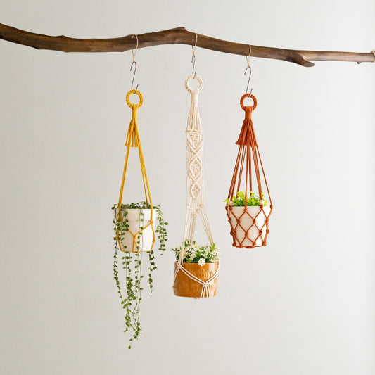 Boho Plant Hanger, Garden Decor, Macrame Pot Hanger, Tassel Free Macrame, Plant Wall Holder, Modern Planter, New Home Gift I70