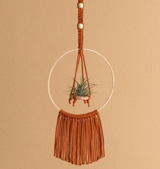 Air Plant Holder, Macrame Air Plant Hanger, Unique Air Plant Display, Macrame Wall Hanging, Boho Decor, Air Plant Terrarium,Gift For Her I88