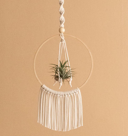 Macrame Air Plant Hanger, Air Plant Holder, Macrame Wall Planter, Macrame Decor, Indoor Plant Hanger, Indoor Plant, Unique Plant Display I88